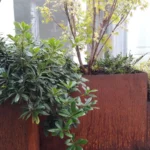 bac de plantation sur mesure