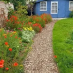 allée massif de fleur et pelouse
