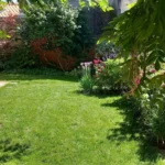 jardinage dans jardin à Pessac