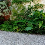 plantation de jardin