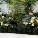 Plantation de massif