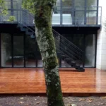 terrasse bois et maison